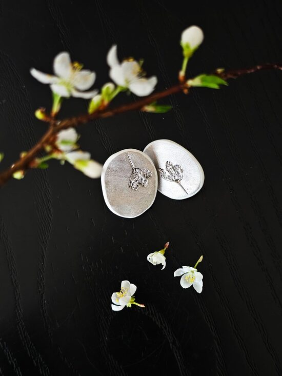 AUSKARI SUDRABOTĀ DILLE